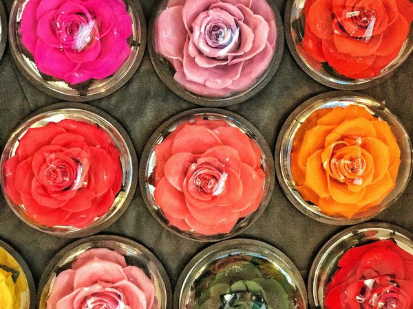 Rose sous cloche : le cadeau éternel et élégant
